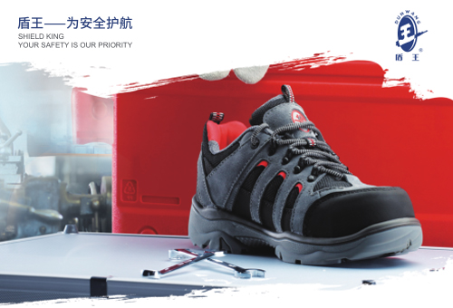 2020盾王產(chǎn)品畫冊(cè)